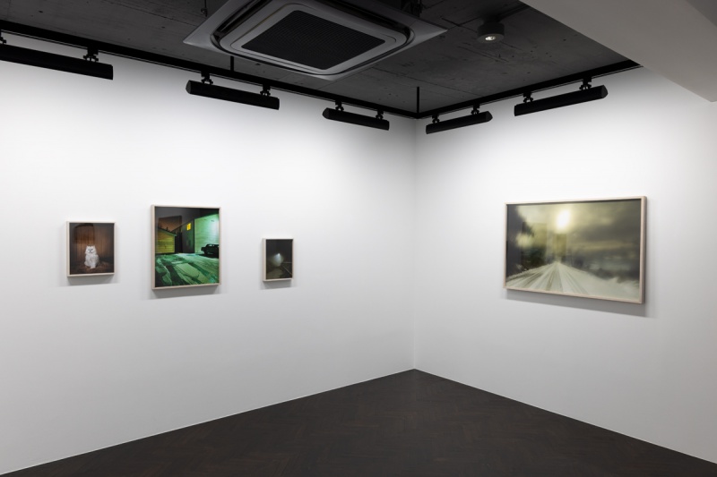 Light and Shadow in the Suburbs: selections from 25 Years - 過去の